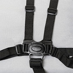 Gaggle Strollers 5-Point Harness