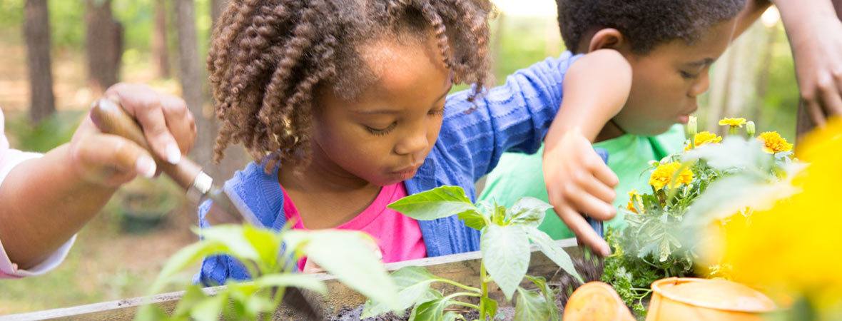 Preschool children gardening