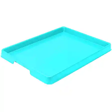 Large Paint Tray, Teal