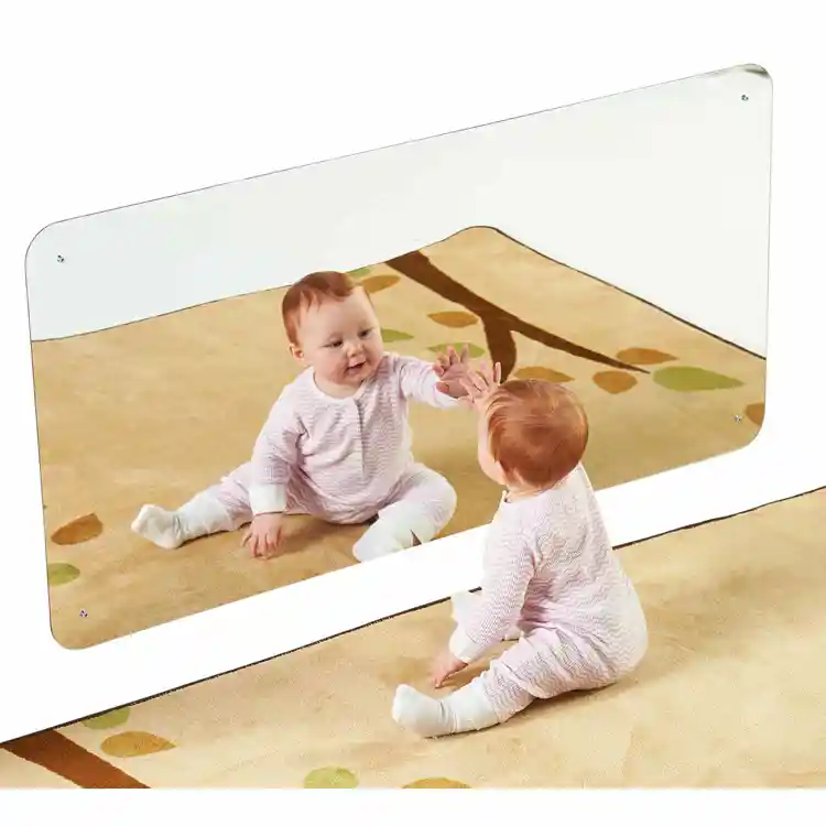 Mounted Plastic Mirror, 2'L x 2'H