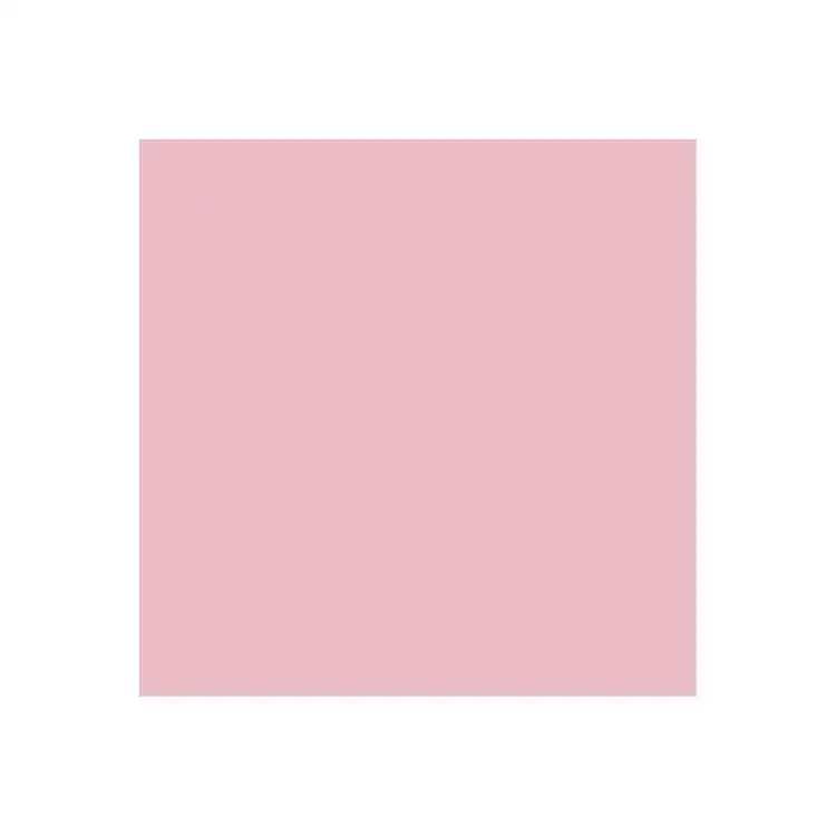 Dual Purpose Colored Copy Paper, Pink