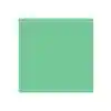 Dual Purpose Colored Copy Paper, Green