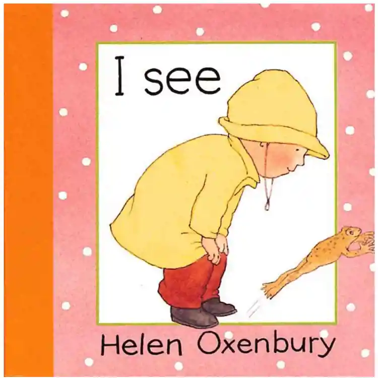 I See - Board Book