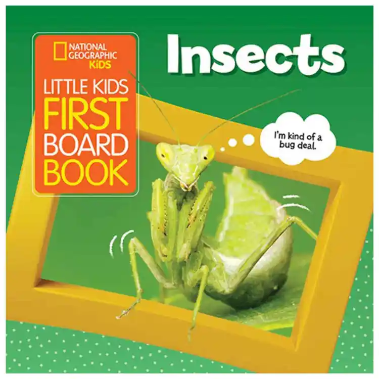 Little Kids First Board Book: Insects