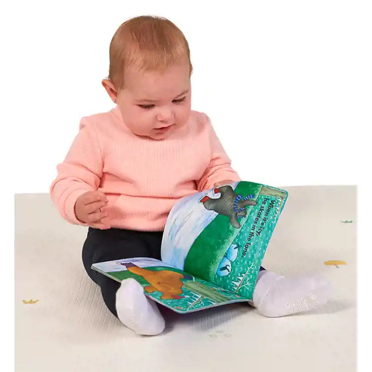 Baby-Proof Books, Cuddly Bear