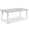 Berries® Driftwood Gray Top Activity Table, Rectangle 30" X 60", Adult Height-Gray