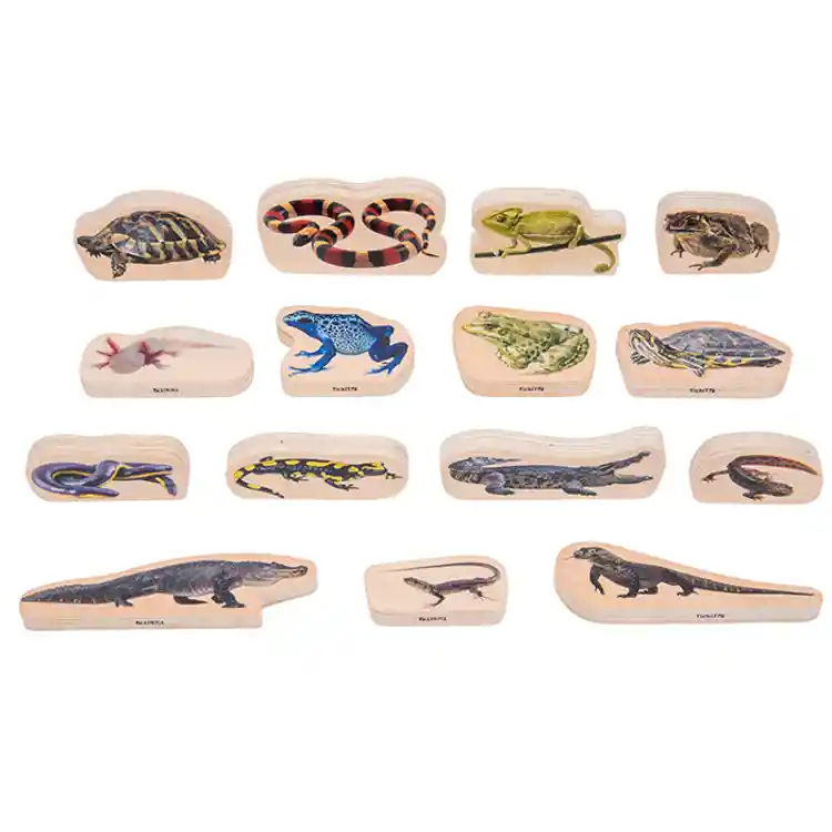 Wooden Reptile & Amphibian Blocks