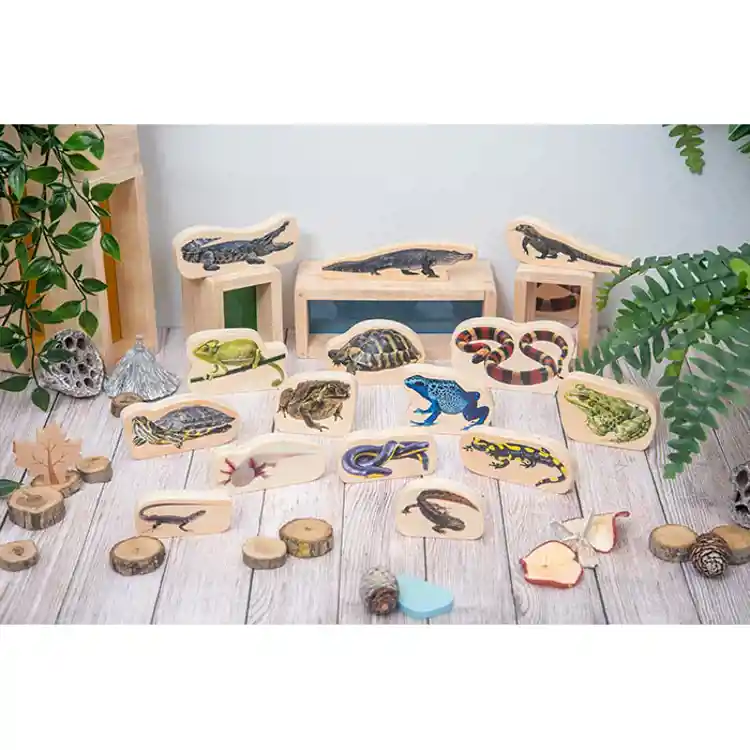 Wooden Reptile & Amphibian Blocks