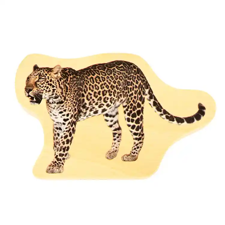 Wooden Photo Wild Animal Blocks