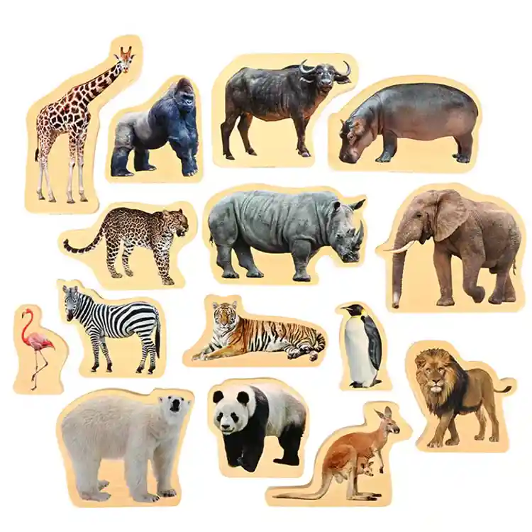 Wooden Photo Wild Animal Blocks