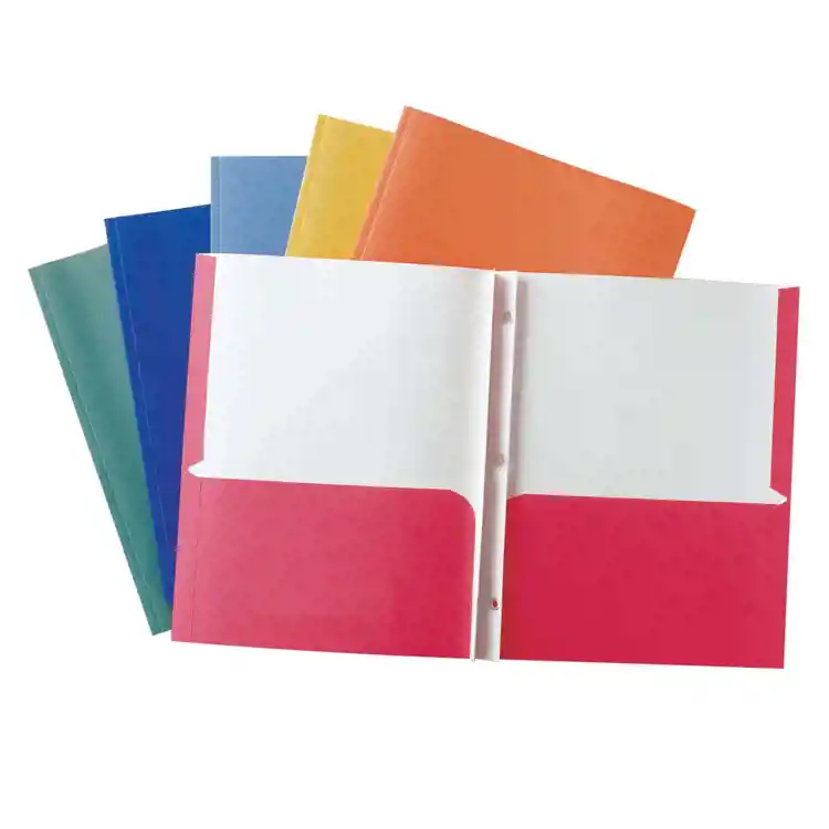 Economy E-Z 2-Pocket Folders, Assorted Colors, With Gussets