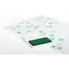 Washable Stamp Pads, Green