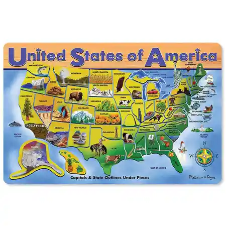 USA Map Wooden Puzzle