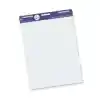 Easel Pad Packs, Unruled