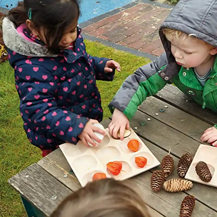 Natural Sorting Tray