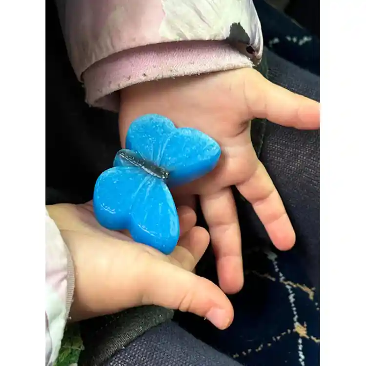 Sensory Play Stones, Butterflies