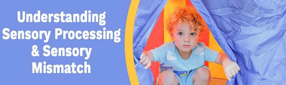 Understanding Sensory Processing Webinar Banner